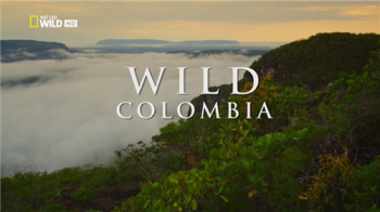 Дикая Колумбия (1-3 серии из 3) / NAT GEO WILD. Wild Colombia DUB
