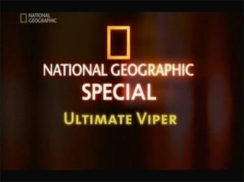 Все о гадюках / National Geographic. Ultimate Viper VO
