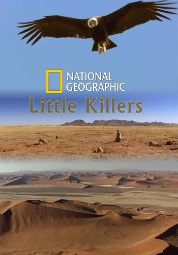 Маленькие убийцы / NAT GEO WILD. Little Killers VO