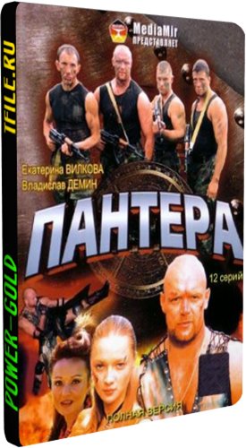 Пантера (1-12 серии из 12)