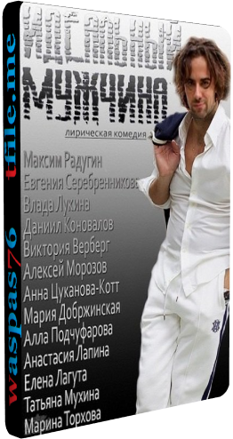 Идеальный мужчина (1-4 серии из 4)