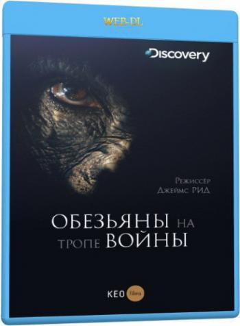 Обезьяны на тропе войны / Discovery. Rise of the Warrior Apes VO