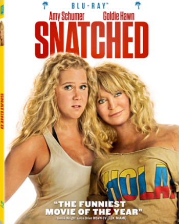 Дочь и мать её / Snatched DUB