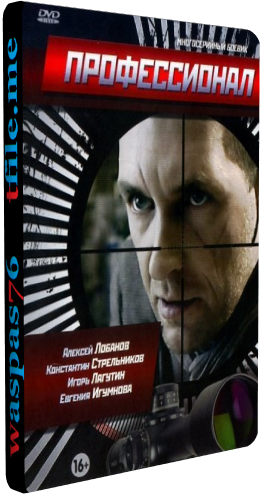 Профессионал (1-16 серии из 16)