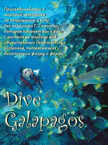 BBC: Подводный мир Галапагосов / ВВС: Dive Galapagos VO