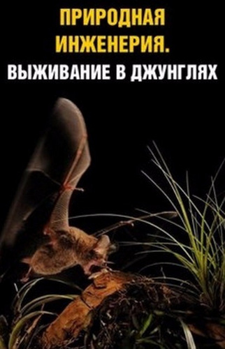 Природная инженерия: Выживание в джунглях / National Geographic. Animal Impact: Jungle VO