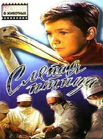 Слепая птица
