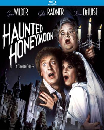 Медовый месяц с призраками / Haunted Honeymoon 3xDVO