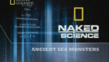 С точки зрения науки: Рождение Вселенной / Naked Science: Birth of the Universe