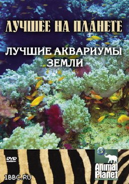 Лучшее на планете. Лучшие аквариумы Земли / The best on the planet. Top Aquaria land