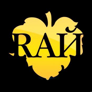 DJ Шевцов - The best of RAЙ 2009