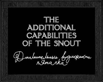 Дополнительные возможности пятачка / The additional capabilities of the snout