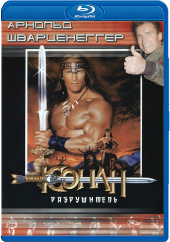 Конан-разрушитель / Conan the Destroyer 2хMVO