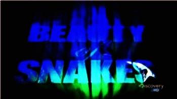 Discovery: Красота змей / The Beauty of Snakes