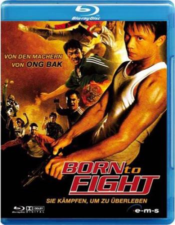 Рожденный сражаться / Kerd ma lui / Born to Fight AVO+VO
