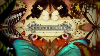 Бабочки / Butterflies VO