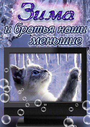 Зима и братья наши меньшие