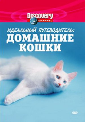 Discovery: Идеальный путеводитель: Домашние кошки / Ultimate Guide: Housecats