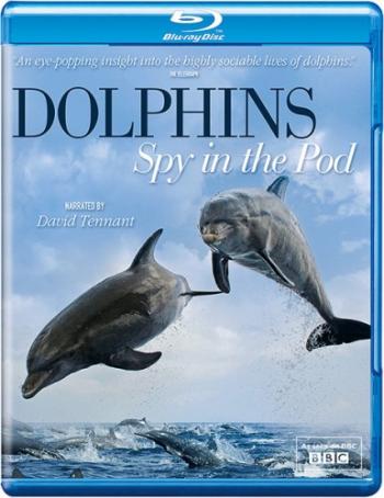 Дельфины. Шпион в стае (2 серии из 2) / Dolphins. Spy In The Pod VO