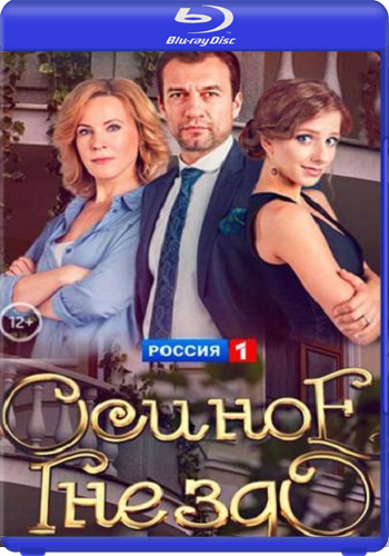 Осиное гнездо (1-16 серии из 16)