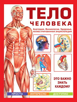 Тело человека. Анатомия. Физиология. Здоровье )