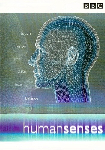 BBC: Чувства человека. Зрение и осязание / BBC: Human senses
