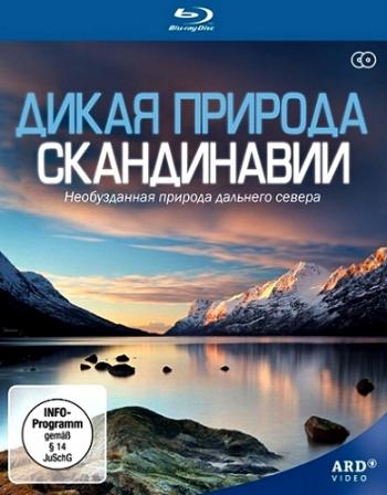 Дикая природа Скандинавии / Wildes Skandinavien АVO