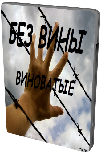Без вины виноватые (Эфир: 14.06.2012)