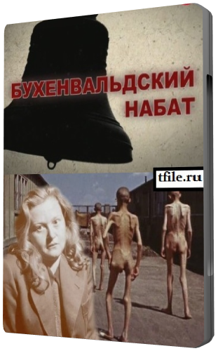 Бухенвальдский набат (Эфир: 08.05.2012)