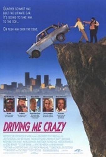 Сумасшедшая история / Сумасшедшая машина / Driving Me Crazy 2xAVO