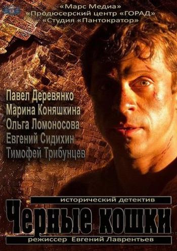 Черные кошки (1-12 серии из 12)