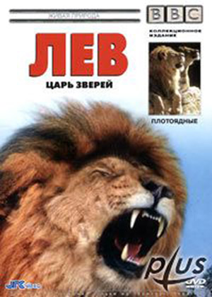 BBC: Плотоядные. Лев / BBC: Lion