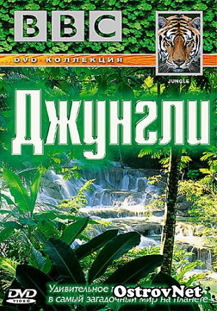 BBC: Джунгли / BBC: Jungle