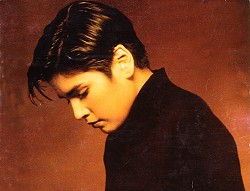 Tanita Tikaram - Дискография