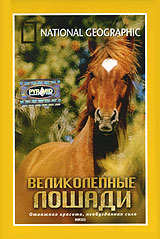 Великолепные лошади / Horses