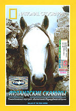 Ирландские скакуны