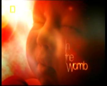 Жизнь до рождения (2 фильма) . В утробе матери-человек.Близнецы / In the womb