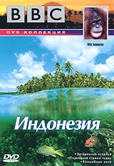 BBC: По странам и континентам. Индонезия. Часть 3: Волшебные леса / BBC: Wild Indonesia:Magical Forests)