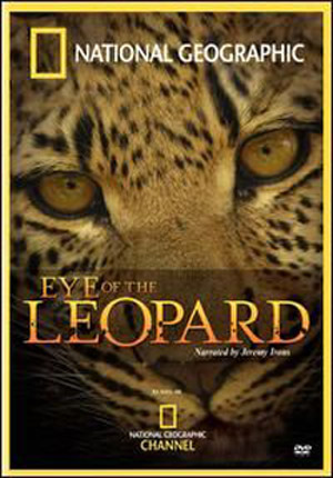 Глаз леопарда / Eye Of The Leopard
