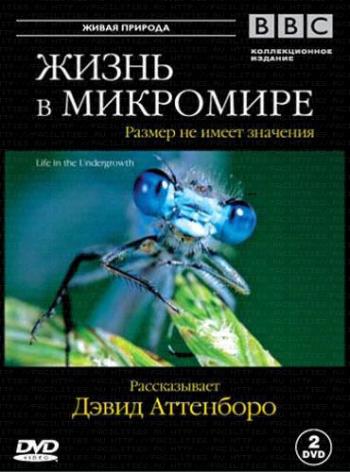 BBC: Жизнь в микромире / Life in the Undergrowth