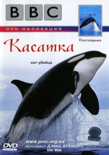 BBC: Касатка / BBC: Killer Whale / 2003 / DVDRip