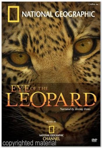 Глаз Леопарда / National Geographic - Eye of the Leopard (2007)
