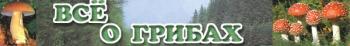 Все о грибах (2005)