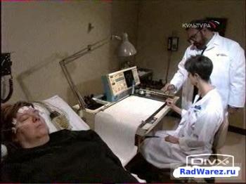 BBC: Тайны мозга / Brain Story: First Among Equals