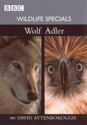 BBC: Волк / BBC: Wolf )