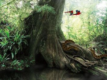 Living Rainforest Screensaver v1.0 Заставка