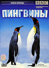BBC: Пингвины / Penguins of The Antarctic