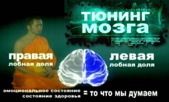 Теория невероятности. Тюнинг мозга.