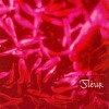 Fleur - Прикосновение (2002)