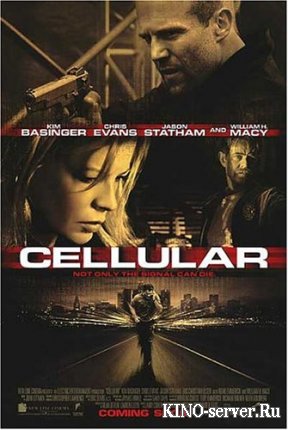 Сотовый / Cellular